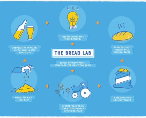 bread_lab