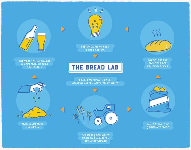 bread_lab