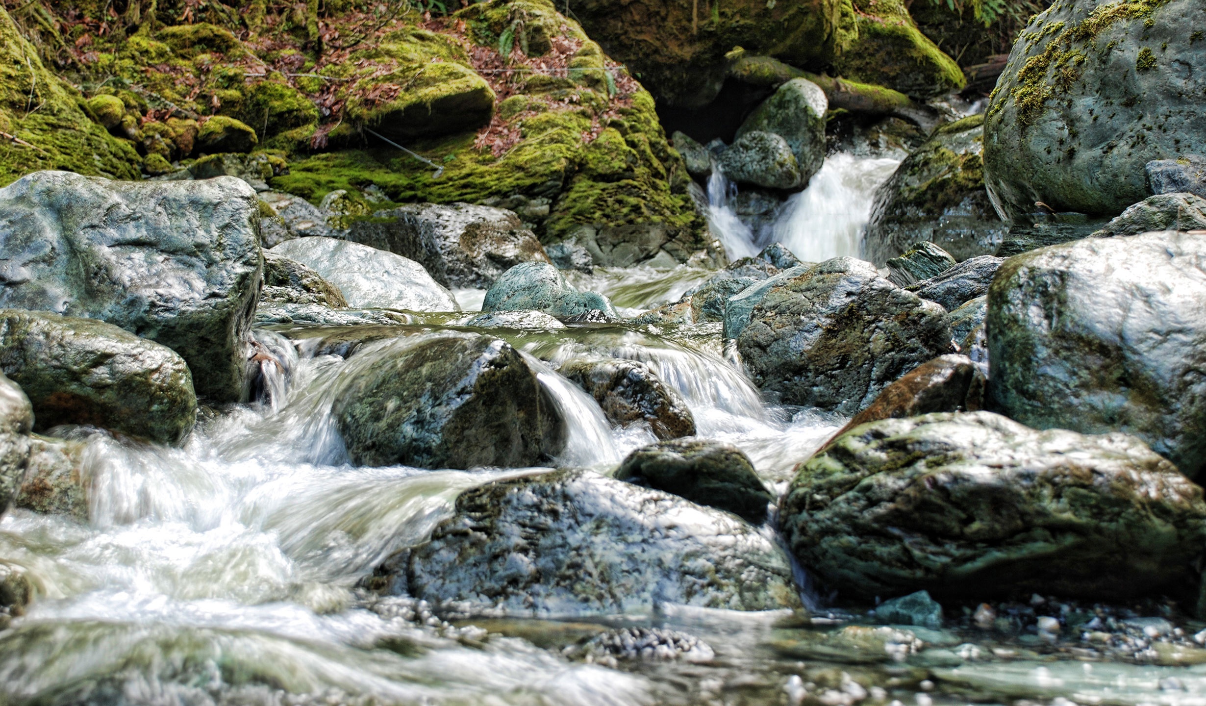 gilligan creek rapids